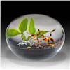 Image 2 : Paul Stankard 1978 Spider Orchids Paperweight