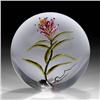 Image 1 : Chris Buzzini 1996 Alpine Paintbrush Paperweight
