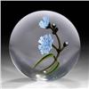 Image 1 : Chris Buzzini 1998 Chicory Paperweight