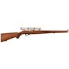 Image 1 : Ruger Model 10/22 .22 LR w/Simmons Scope