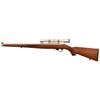 Image 2 : Ruger Model 10/22 .22 LR w/Simmons Scope