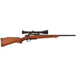 Remington Model 600 .222