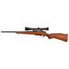 Image 2 : Remington Model 600 .222