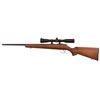 Image 2 : CZ 455 .17 HMR