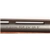 Image 5 : Remington 870 Express Magnum 20 Gauge Shotgun