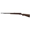 Image 2 : .22 Semi-Auto Rifle
