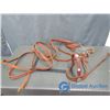 Image 1 : Complete Horse Bit with Halters and Reins