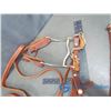 Image 3 : Complete Horse Bit with Halters and Reins