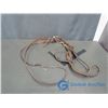 Image 1 : Complete Horse Bit with Halters and Reins