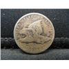 Image 1 : 1858 Flying Eagle Cent