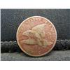 Image 1 : 1858 Flying Eagle Cent