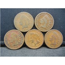(5) 1894 Indian Cents Better Date