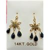 Image 1 : 14K Yellow Gold Sapphire(2.9ct) Earrings (~weight 1.7g), Made in Canada, Insurance Value $2100
