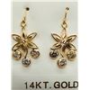 Image 1 : 14K Yellow Gold Diamond(H-I, I2-I3, 0.90ct) Earrings, Made in Canada, Insurance Value $3700 Youtube 