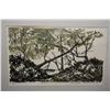 Image 1 : Two unframed vintage prints including wood-cut "Haydren Tree" pencil signed by artist Robert-Ralph C