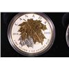 Image 2 : Cased Royal Canadian Mint 2014 fine silver 99.99% Fractional set " The Maple Leaf including 1 oz, 1/