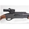 Image 2 : Non-Restricted shotgun Remington model 870 Express, 12 ga. 2 3/4" pump action, w/ bbl length 24" [Pa