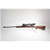 Image 3 : Non-Restricted rifle Remington model 700, .338 Win mag bolt action, w/ bbl length 24" [Blued barrel 