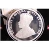 Image 3 : Cased Royal Canadian Mint 2015 $50 fine 99.99% silver 65.25 gram coin "100th Anniversary of In Fland