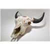 Image 1 : Painted buffalo skull, approximately 27" tip of horn to nose