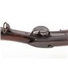 Image 5 : U.S. Model 1817 Flintlock ''Common Rifle''