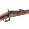 Image 7 : Indian Wars Springfield M1884 Infantry Rifle