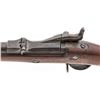 Image 3 : Indian Wars Springfield M1873 TD Infantry Rifle