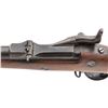 Image 3 : Indian War Springfield M1873 TD Infantry Rifle