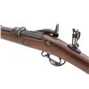 Image 4 : Indian War Springfield M1873 TD Infantry Rifle