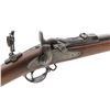 Image 6 : Indian War Springfield M1873 TD Infantry Rifle