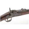 Image 3 : Springfield Model 1873 Carbine