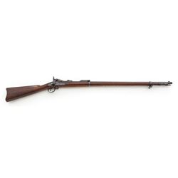 Springfield Model 1888 ''Ramrod Bayonet'' TD Rifle