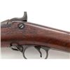Image 3 : Springfield Model 1888 ''Ramrod Bayonet'' TD Rifle