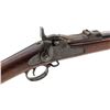 Image 6 : Springfield Model 1888 ''Ramrod Bayonet'' TD Rifle