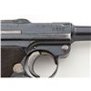 Image 8 : 1908 P.08 Military Luger, by DWM