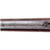 Image 6 : Winchester Model 1876 Fullstock SRC
