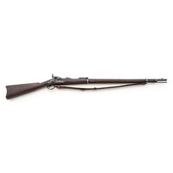 Springfield Model 1884 Trapdoor Rifle