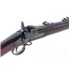 Image 6 : Springfield 1888 Ramrod Bayonet TD Rifle