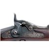 Image 7 : Springfield 1888 Ramrod Bayonet TD Rifle