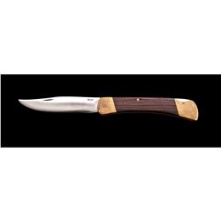 Buck Model 110 Folding Hunter