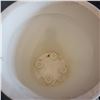 Image 3 : MARCHIORO PLASTIC PLANTER WHITE