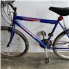 Image 2 : BLUE TRIUMPH BIKE