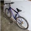 Image 3 : BLUE TRIUMPH BIKE