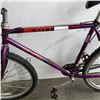 Image 2 : PURPLE SCOTT BIKE