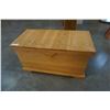 Image 1 : PINE STORAGE TRUNK