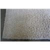 Image 2 : BEIGE SHAG CARPET