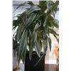 Image 2 : ARTIFICIAL PLANT