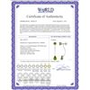 Image 2 : Genuine 4.2 ctw Peridot Earrings 14KT White Gold