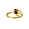 Image 1 : Genuine 0.46 ctw Garnet & Diamond Ring 14KT Yellow Gold