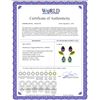 Image 2 : Genuine 13.6 ctw Blue Topaz & Peridot Earrings 14KT Yellow Gold